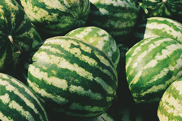 Jason Kelly recovers over $200,000 for Yuma watermelon grower in contract lawsuit